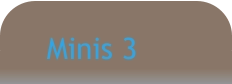Minis 3