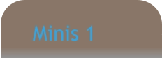 Minis 1
